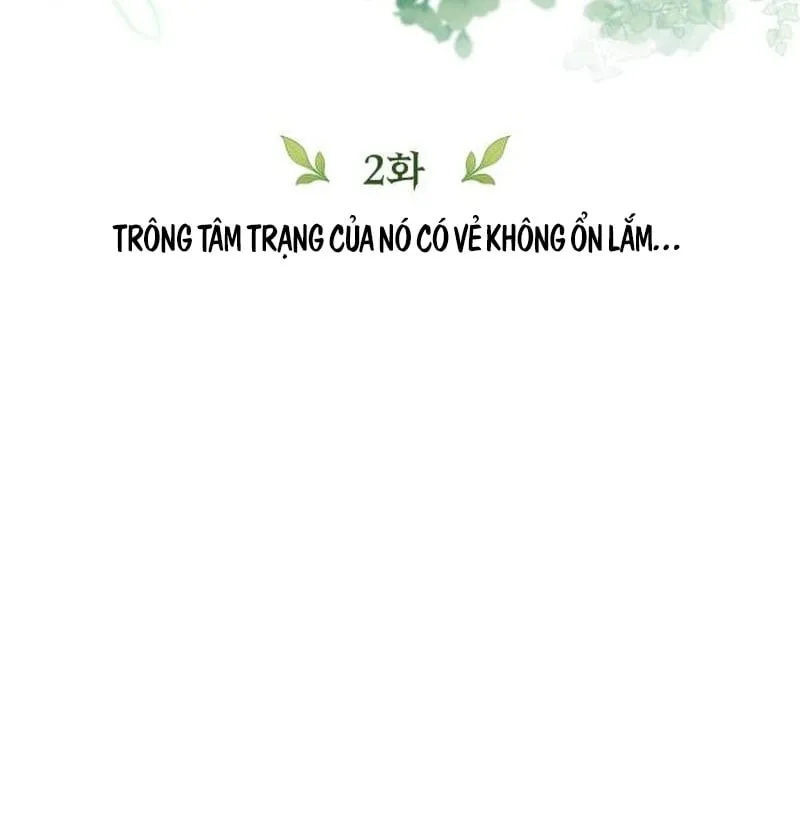 Nữ Thần Thịnh Vượng Và Tông Đồ Thiên Tài Chapter 2 - Trang 17