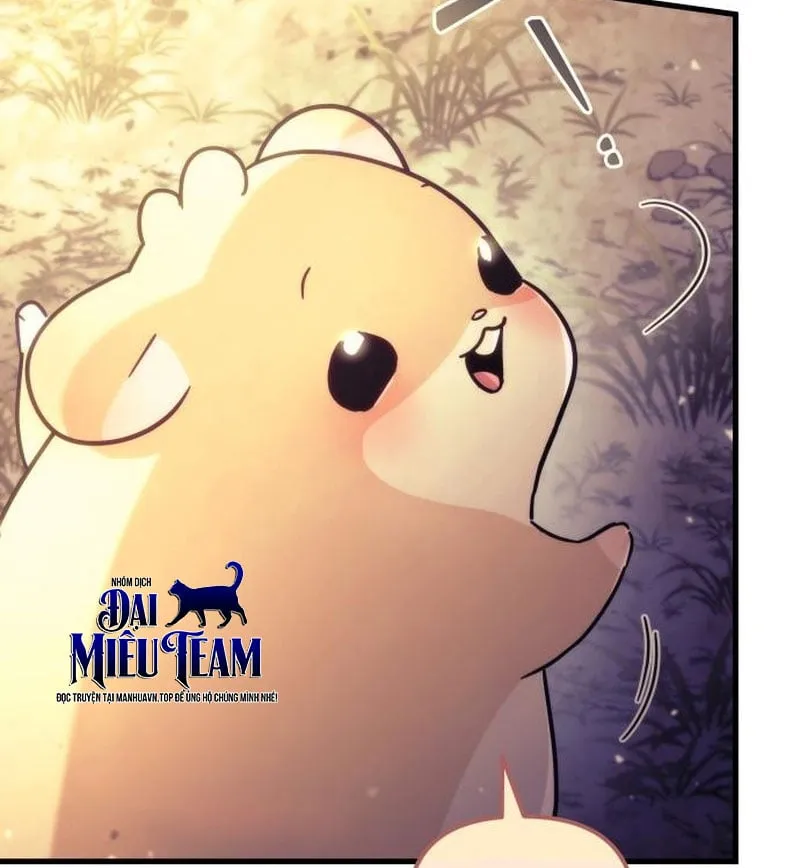Nữ Thần Thịnh Vượng Và Tông Đồ Thiên Tài Chapter 4 - Trang 11