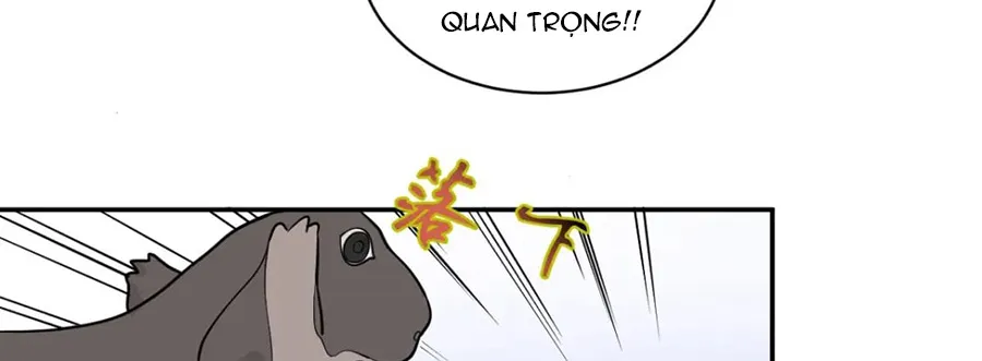 Nửa Cái Đầu Trọc Chapter 5 - Trang 19