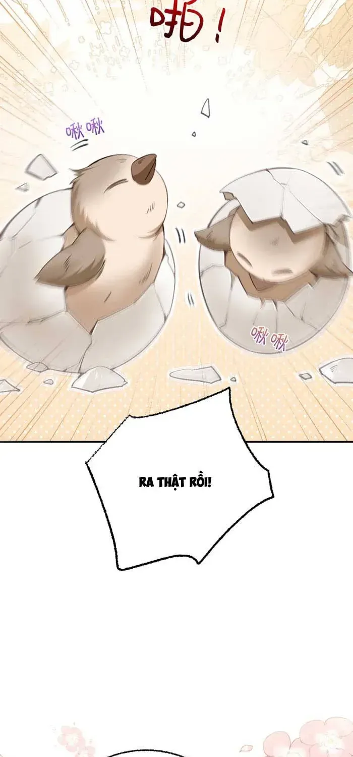 Nương Thân, Đoàn Tử biết lỗi rồi ạ. Chapter 36 - Trang 9