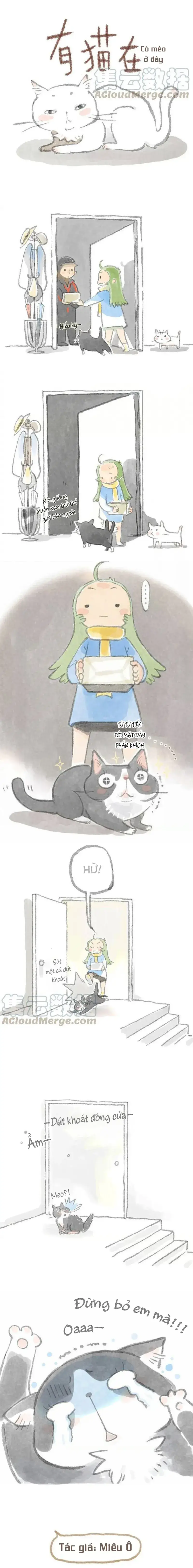 Ở Đây Có Mèo Chapter 4 - Trang 4