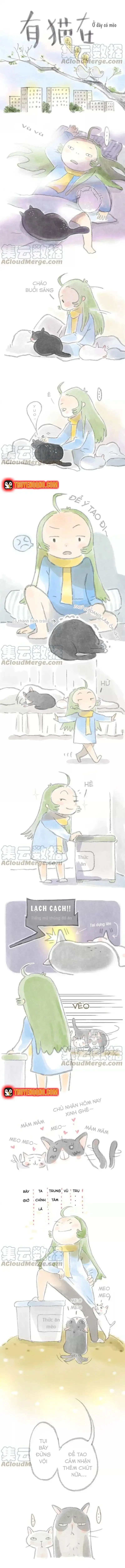 Ở Đây Có Mèo Chapter 7 - Trang 4
