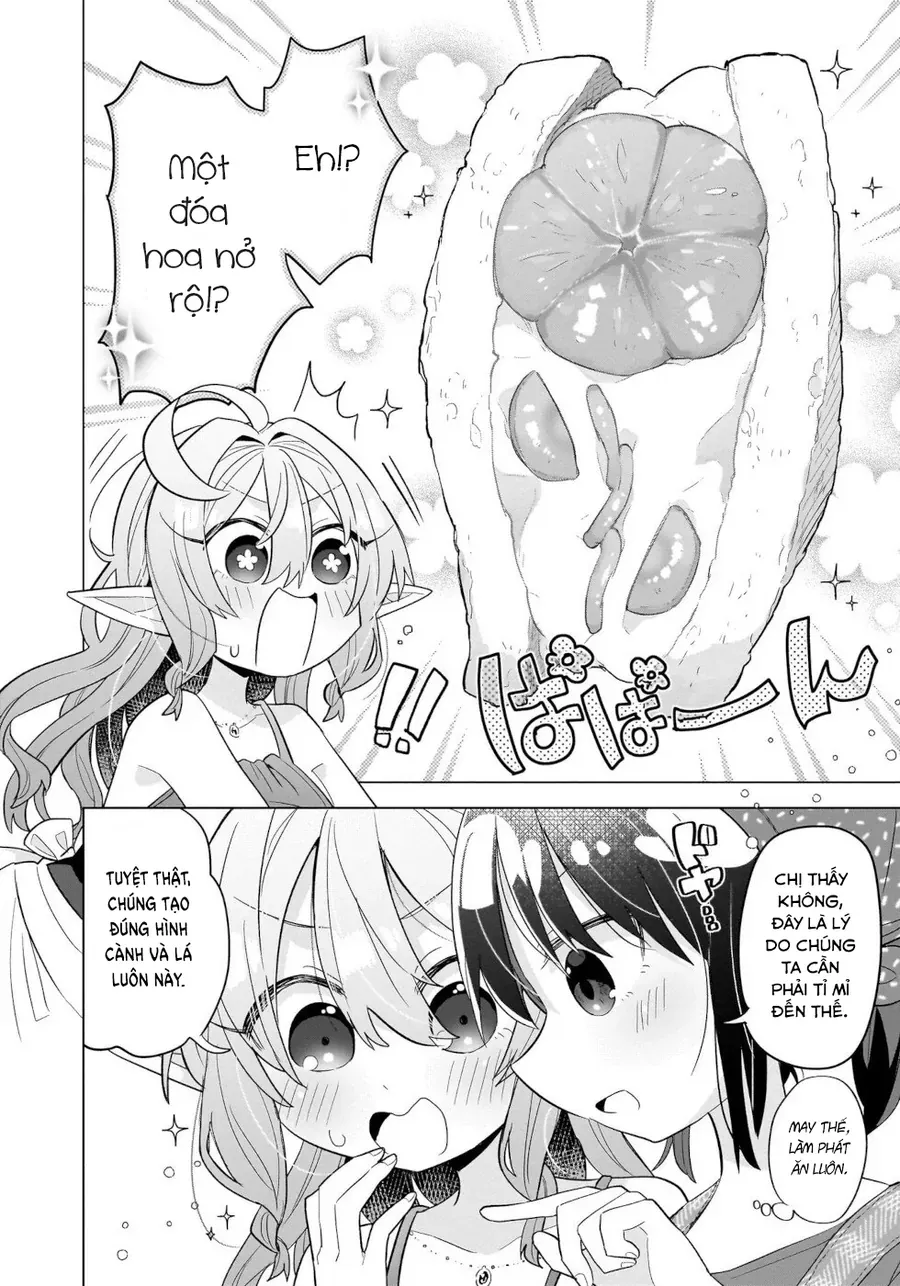 Okashi Na Elf To Joshikousei Chapter 11 - Trang 17