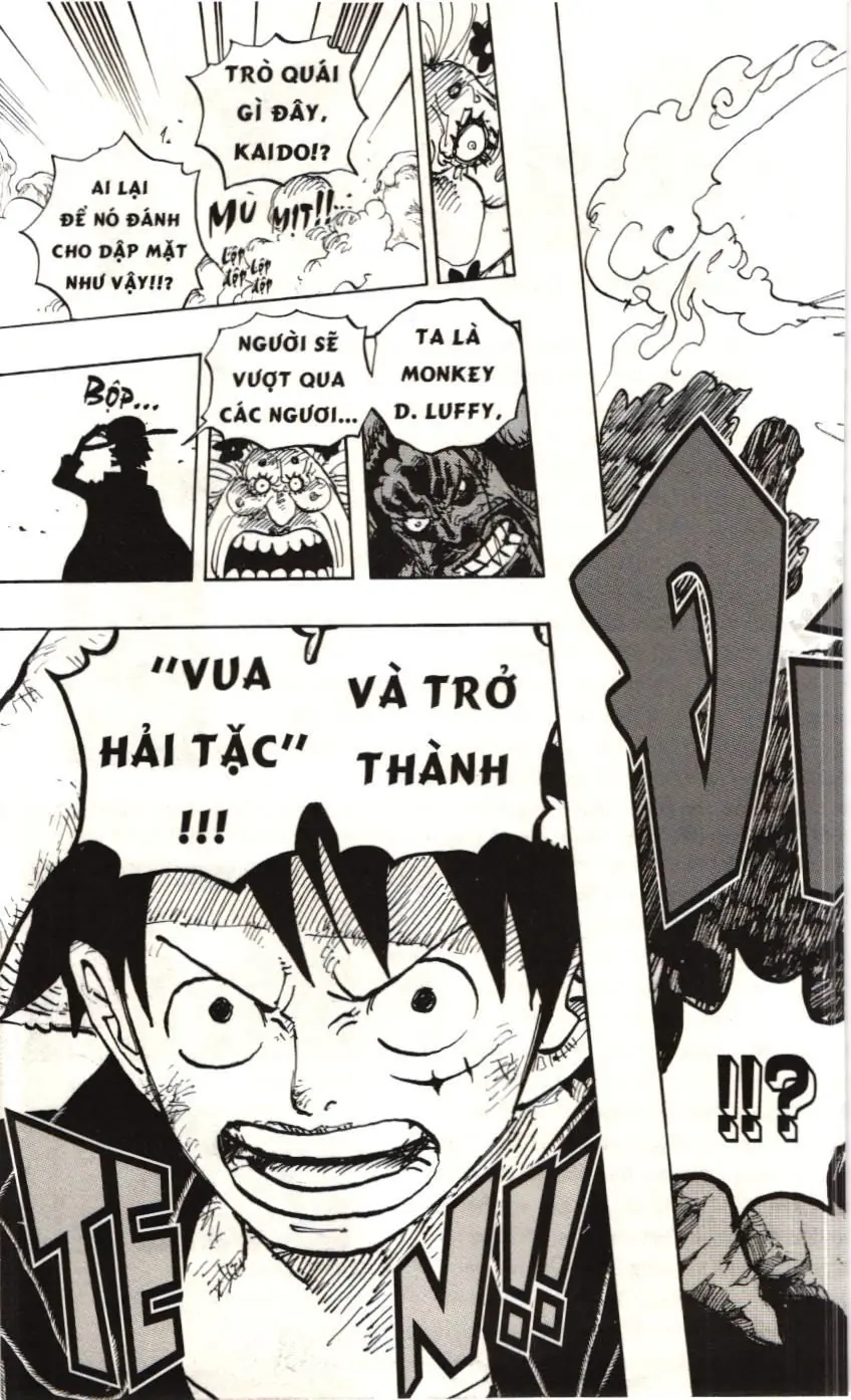 One Piece (NXB Kim Đồng) Chapter 1000 - Trang 17