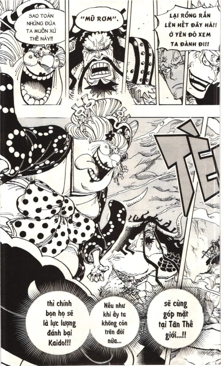 One Piece (NXB Kim Đồng) Chapter 1000 - Trang 9