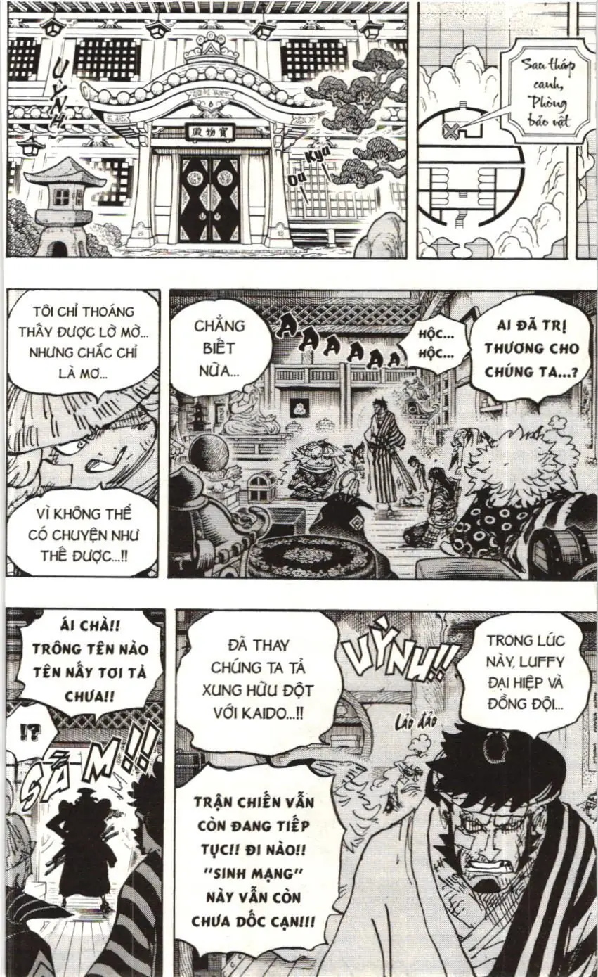 One Piece (NXB Kim Đồng) Chapter 1007 - Trang 14