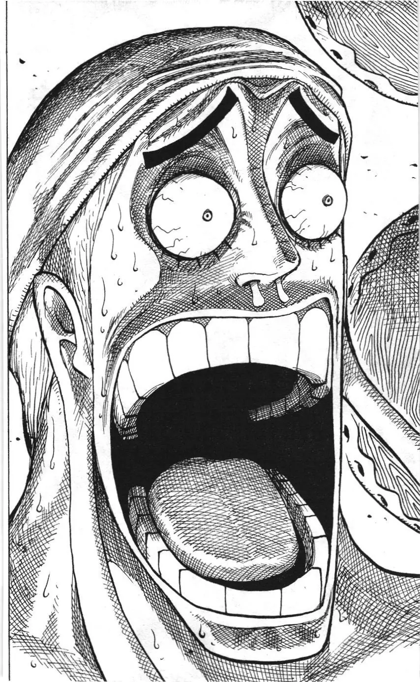 One Piece (NXB Kim Đồng) Chapter 279 - Trang 17