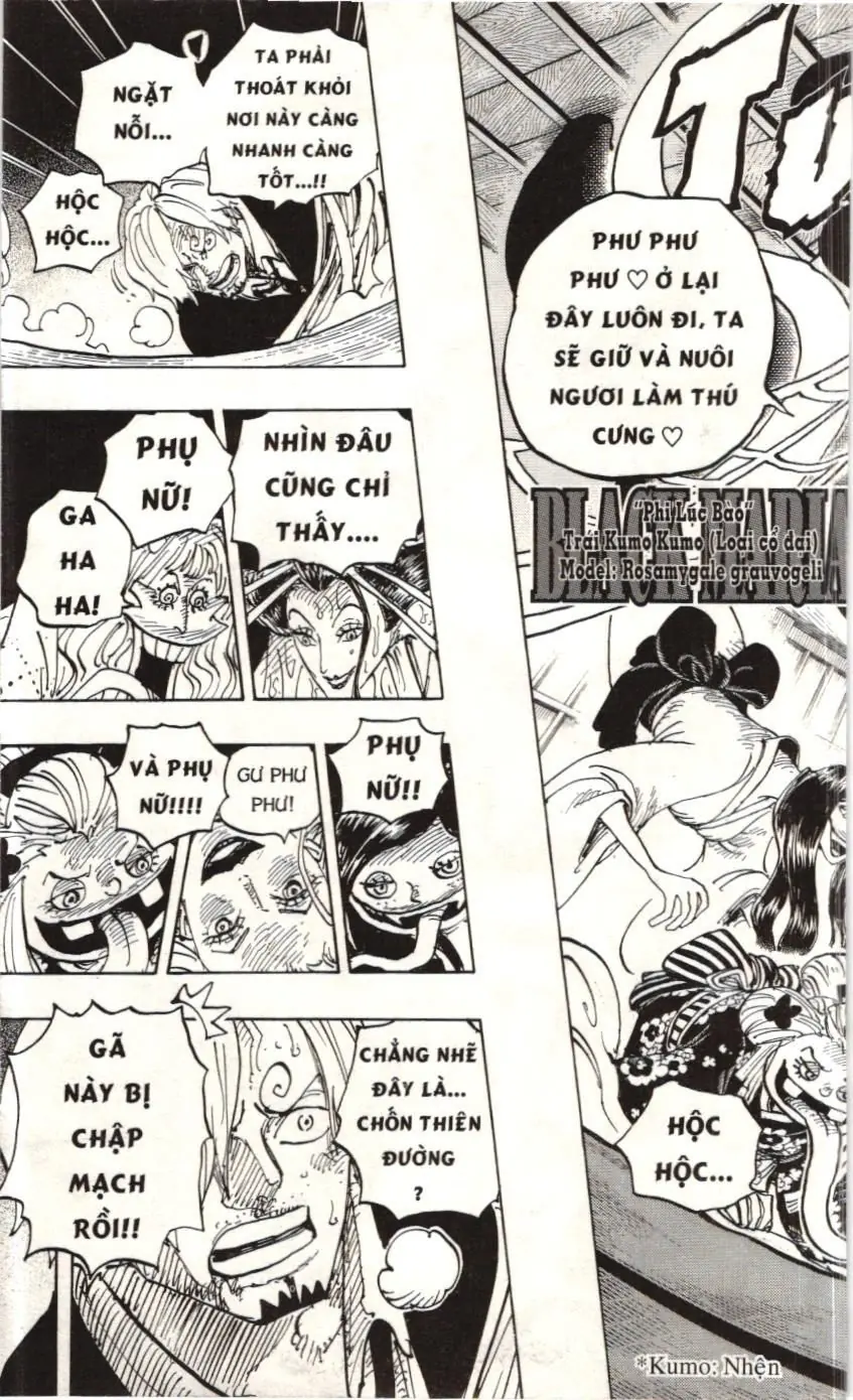 One Piece (NXB Kim Đồng) Chapter 998 - Trang 10