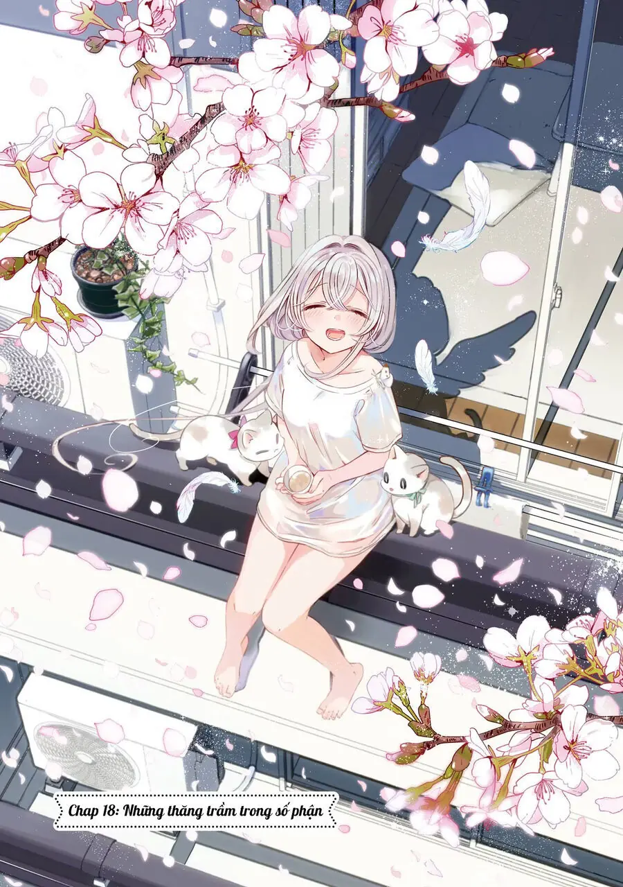 One Room, Hiatari Futsuu, Tenshi Tsuki Chapter 18 - Trang 5