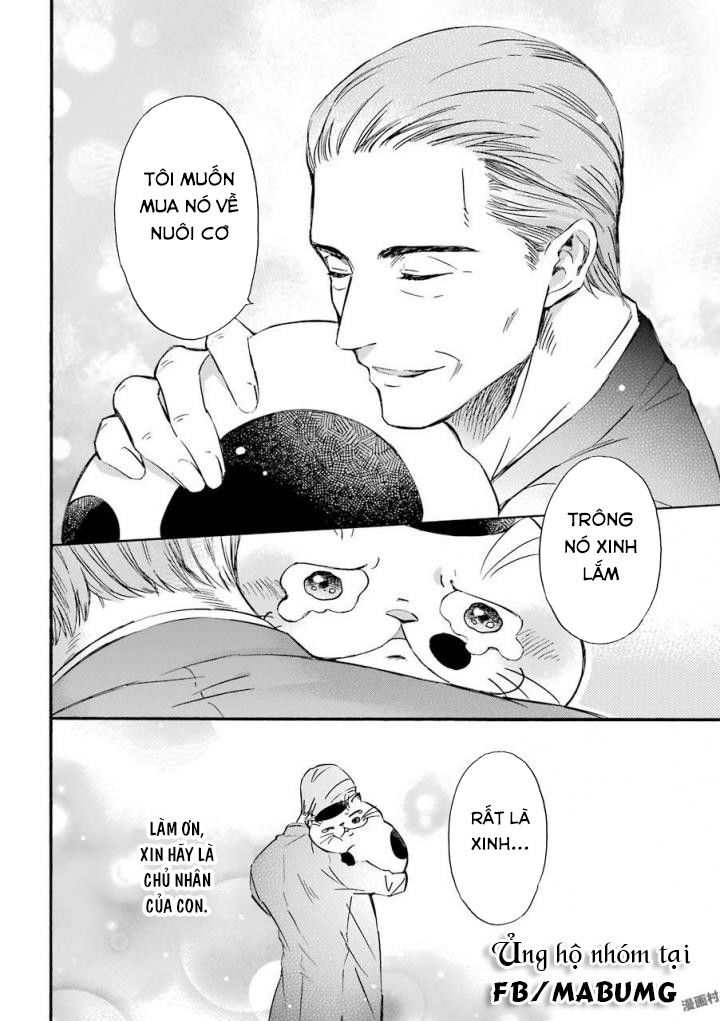 Ông Chú Và Con Mèo Mặt Bựa Chapter 1 - Trang 11