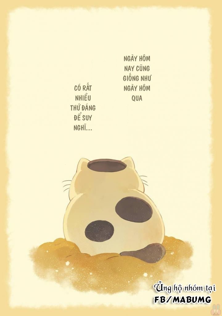 Ông Chú Và Con Mèo Mặt Bựa Chapter 1 - Trang 6