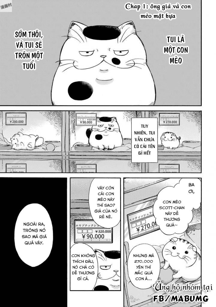 Ông Chú Và Con Mèo Mặt Bựa Chapter 1 - Trang 8