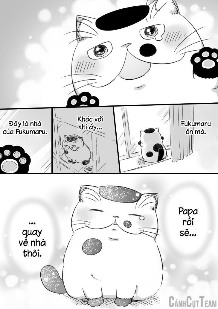 Ông Chú Và Con Mèo Mặt Bựa Chapter 11.1 - Trang 6