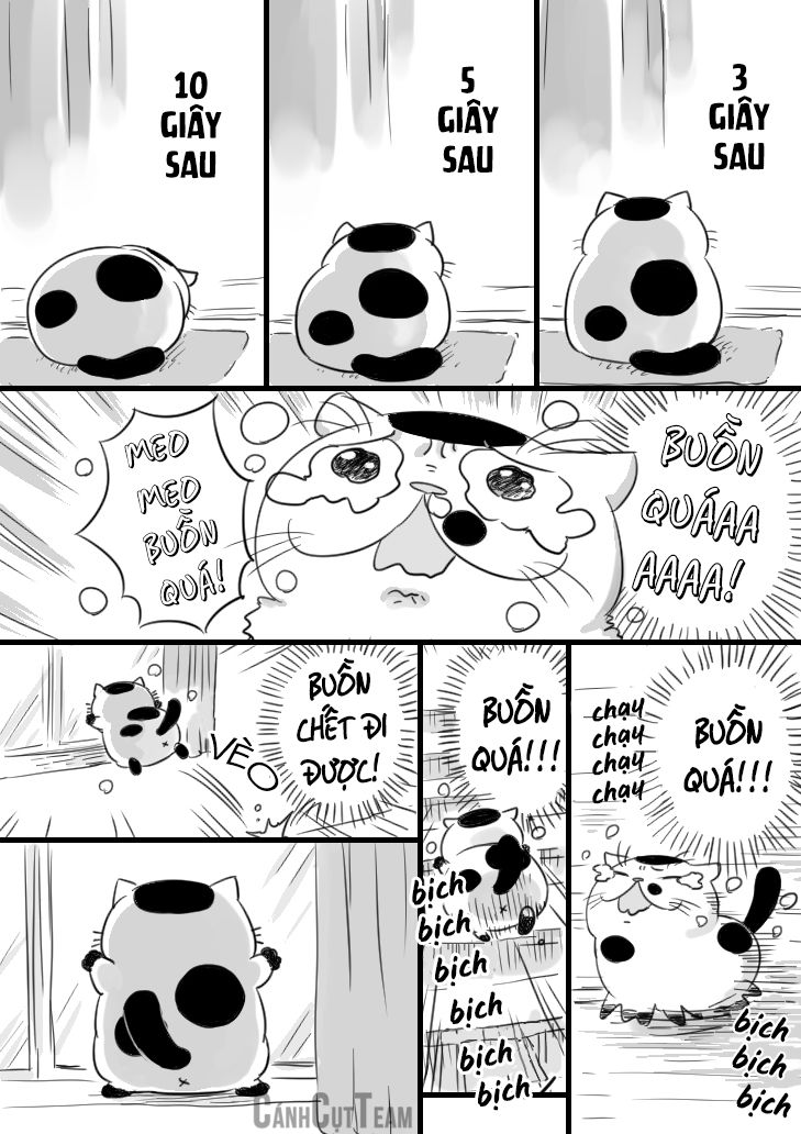 Ông Chú Và Con Mèo Mặt Bựa Chapter 11 - Trang 4
