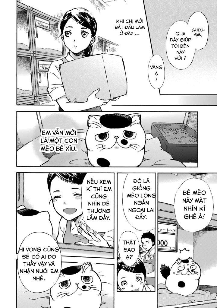 Ông Chú Và Con Mèo Mặt Bựa Chapter 15.6 - Trang 3