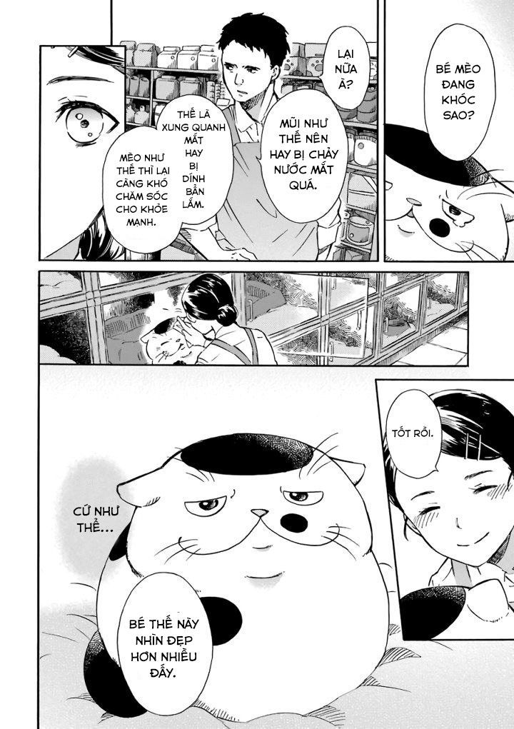 Ông Chú Và Con Mèo Mặt Bựa Chapter 15.6 - Trang 5