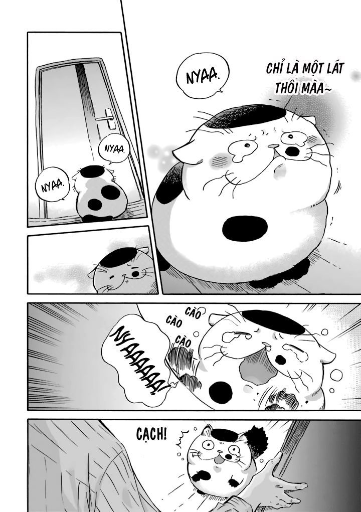 Ông Chú Và Con Mèo Mặt Bựa Chapter 15 - Trang 4