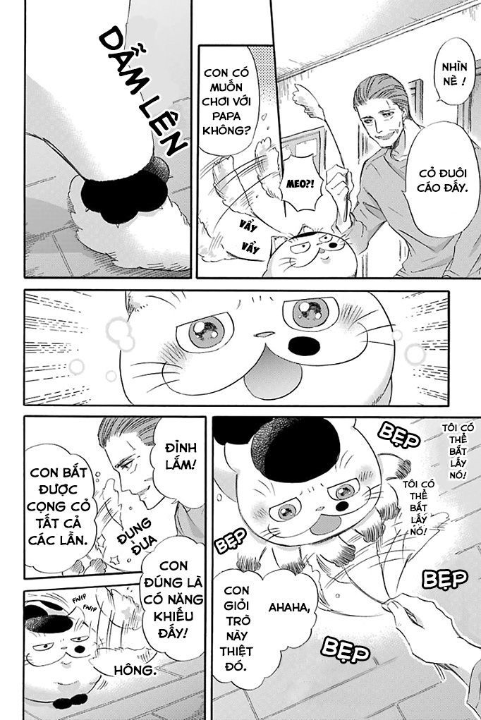 Ông Chú Và Con Mèo Mặt Bựa Chapter 17 - Trang 3