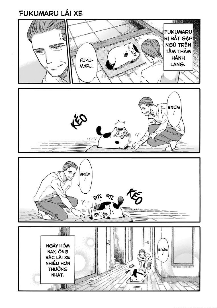 Ông Chú Và Con Mèo Mặt Bựa Chapter 17 - Trang 8