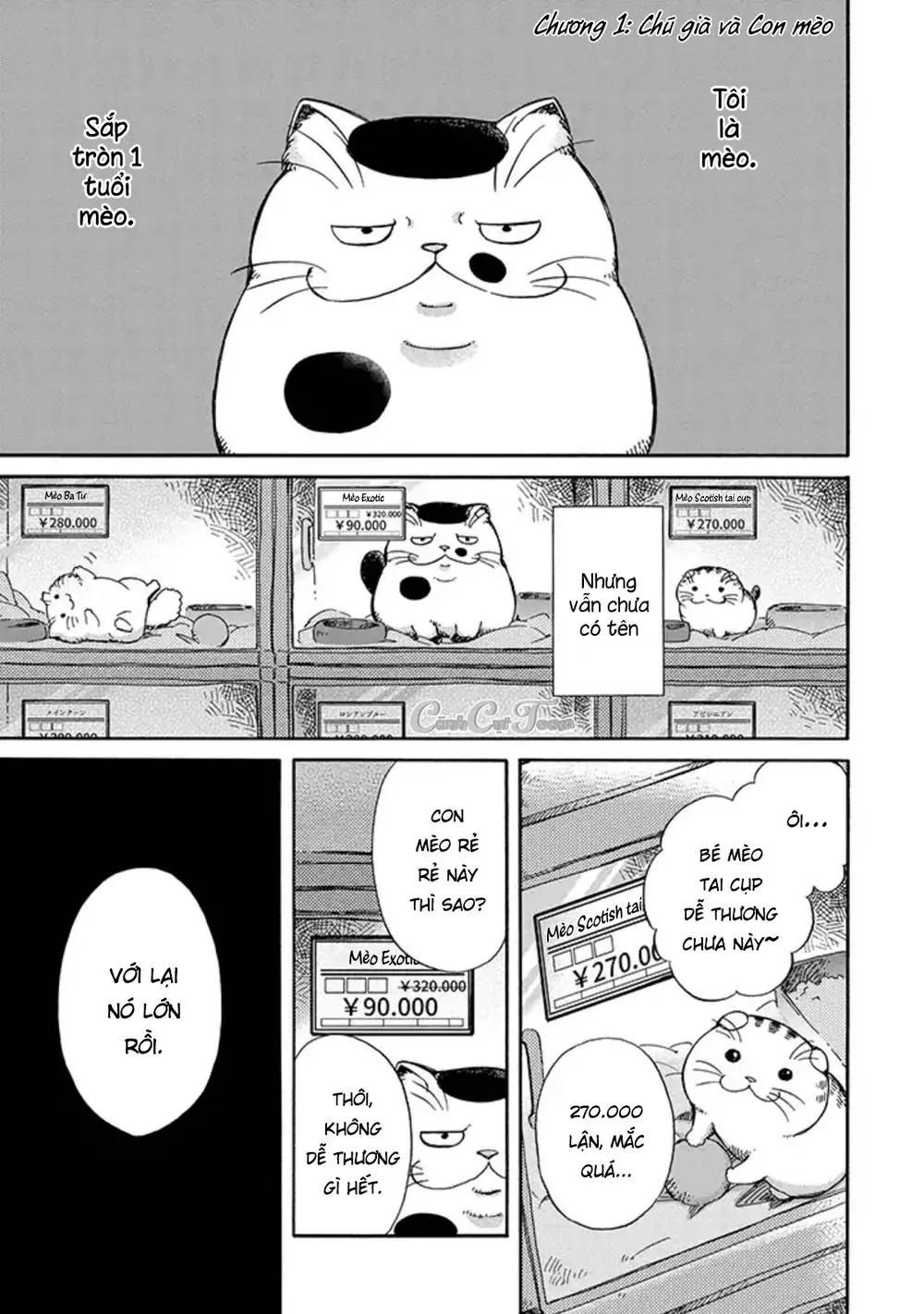 Ông Chú Và Con Mèo Mặt Bựa Chapter 3 - Trang 6