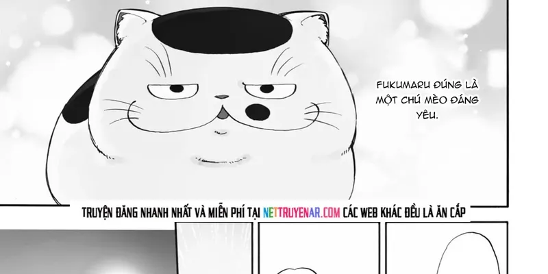Ông Chú Và Con Mèo Mặt Bựa Chapter 32 - Trang 3