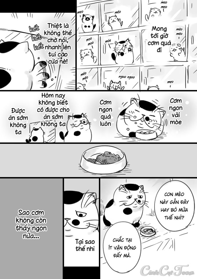 Ông Chú Và Con Mèo Mặt Bựa Chapter 5 - Trang 4