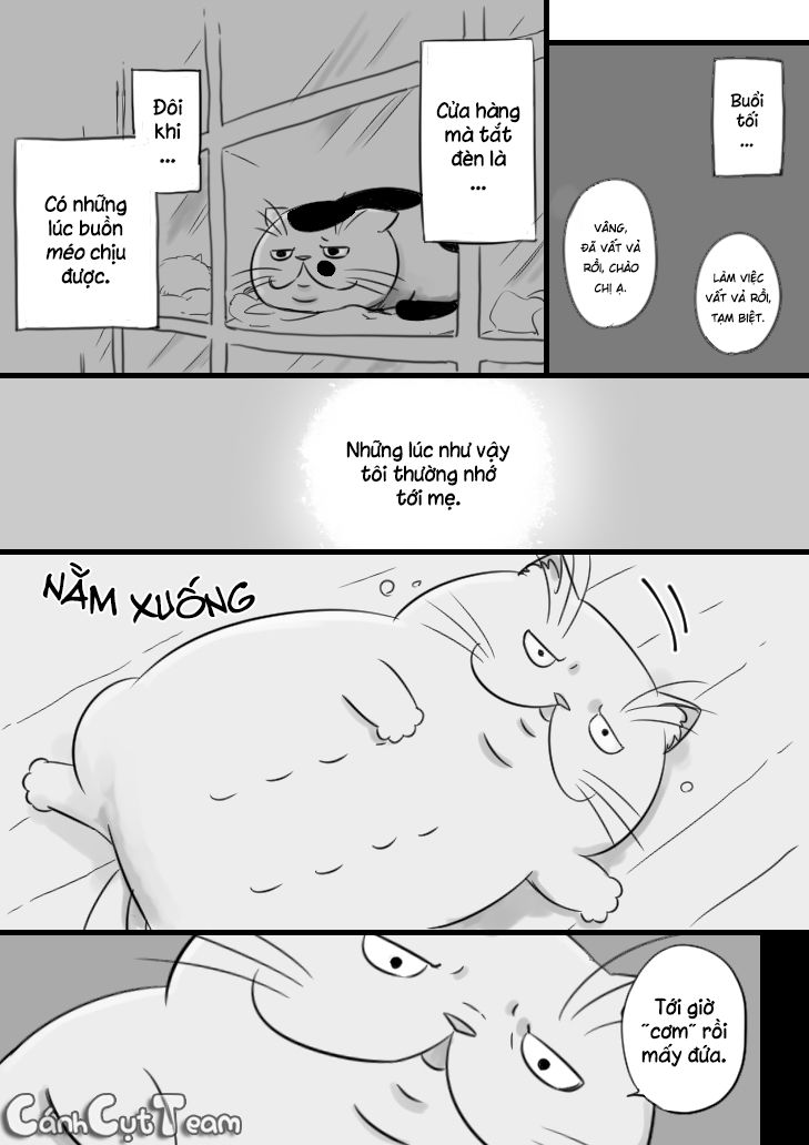 Ông Chú Và Con Mèo Mặt Bựa Chapter 8 - Trang 3