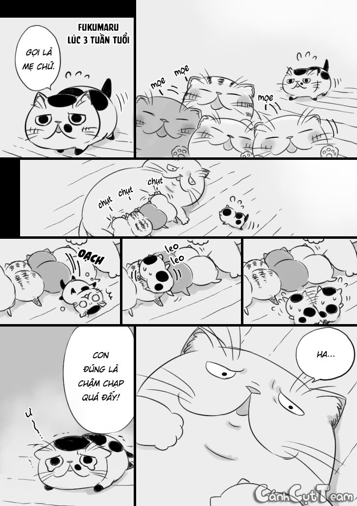 Ông Chú Và Con Mèo Mặt Bựa Chapter 8 - Trang 4