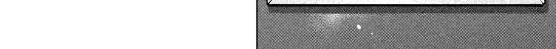 Ookii Muki Muki Chiisai Muchi Muchi Chapter 13 - Trang 12