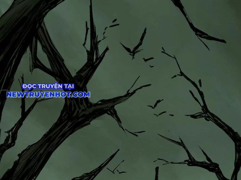 Phá Kén Thành Bướm Chapter 1 - Trang 3