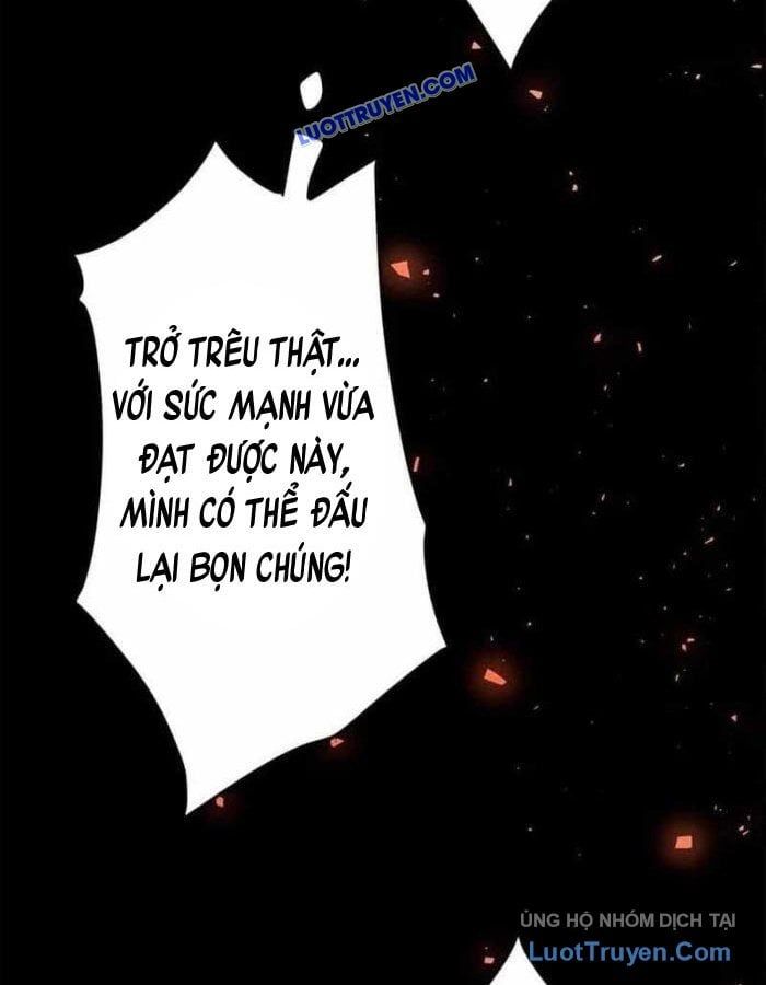 Phản Anh Hùng: Kẻ Dưới Đáy Hệ Thống Chức Nghiệp Chapter 6 - Trang 42