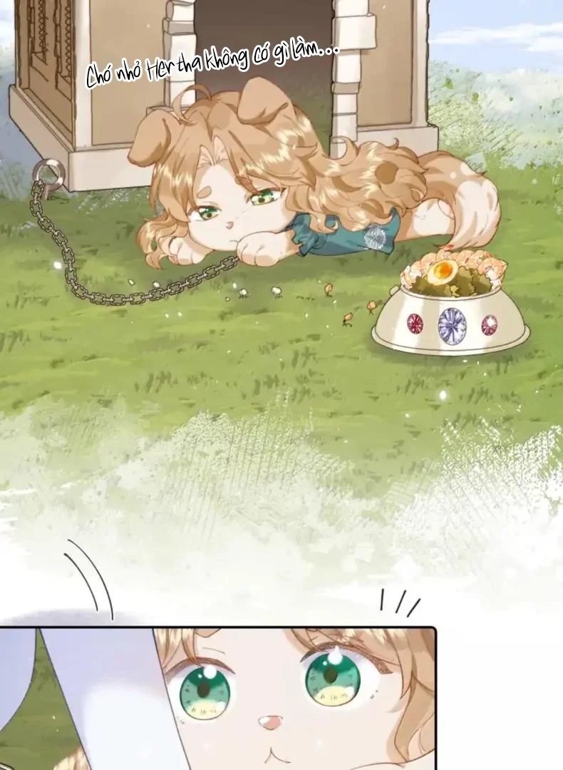 Phản Diện Gặp Kẻ Cuồng Yêu Chapter 60 - Trang 43
