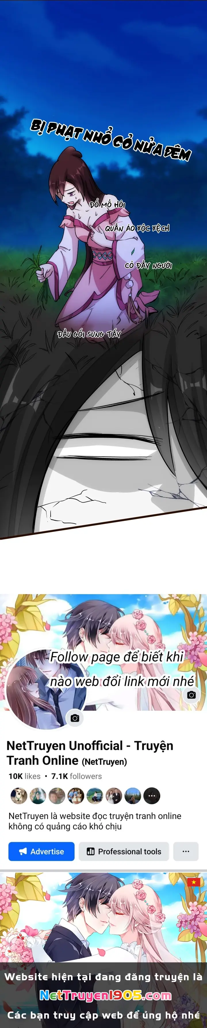 Phi Ca Truyện Chapter 24 - Trang 24