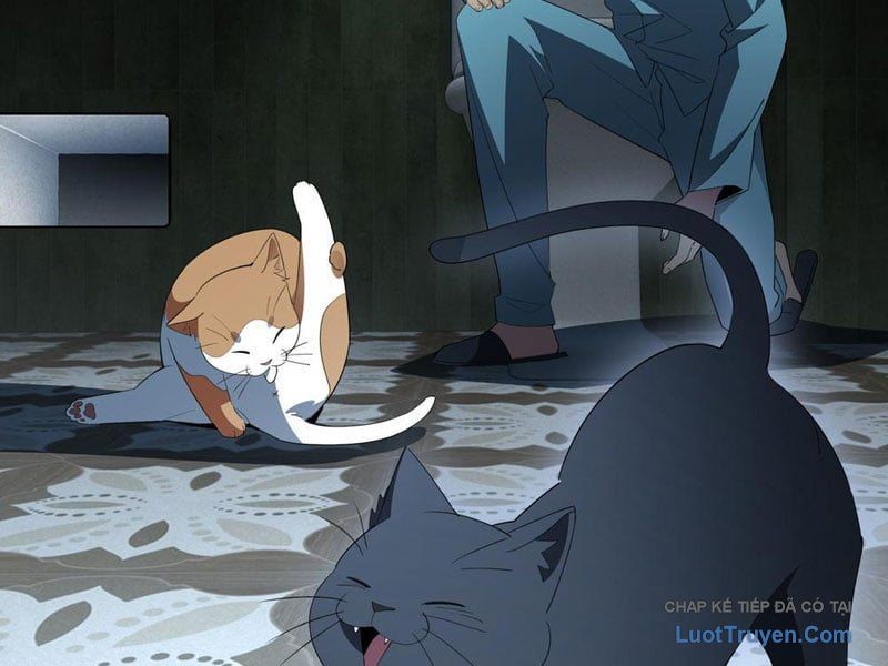 Phổ La Chi Chủ Chapter 17 - Trang 11
