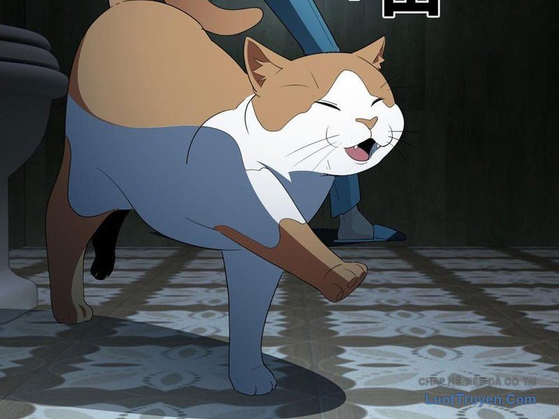 Phổ La Chi Chủ Chapter 17 - Trang 8