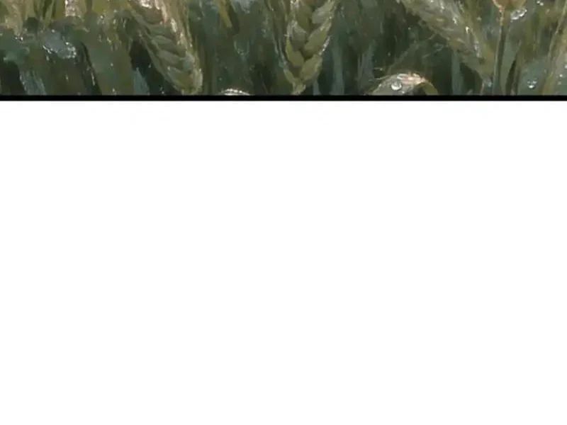 Phổ La Chi Chủ Chapter 18 - Trang 29