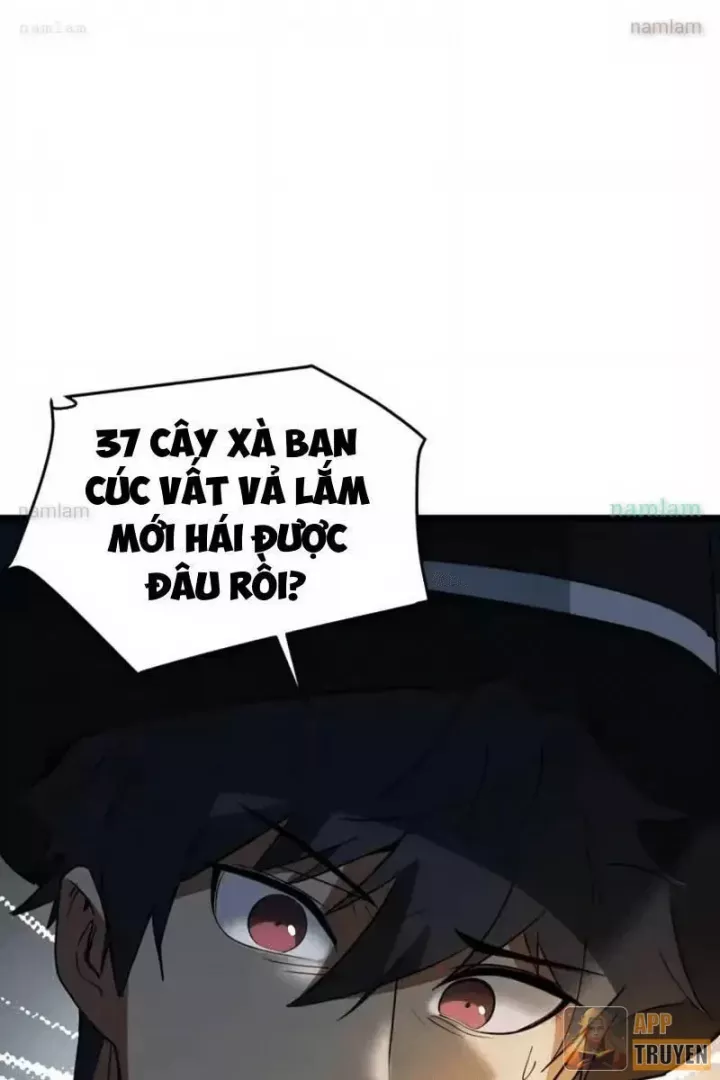 Phổ La Chi Chủ Chapter 24 - Trang 29