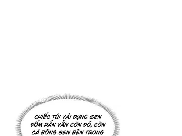 Phổ La Chi Chủ Chapter 29 - Trang 8