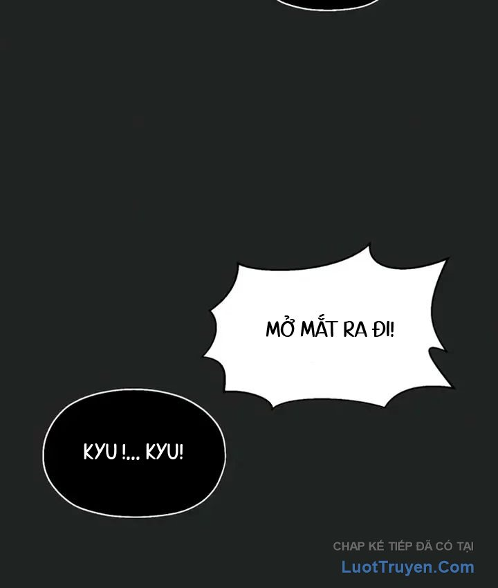 Phối Sắc Giả Chapter 26 - Trang 6