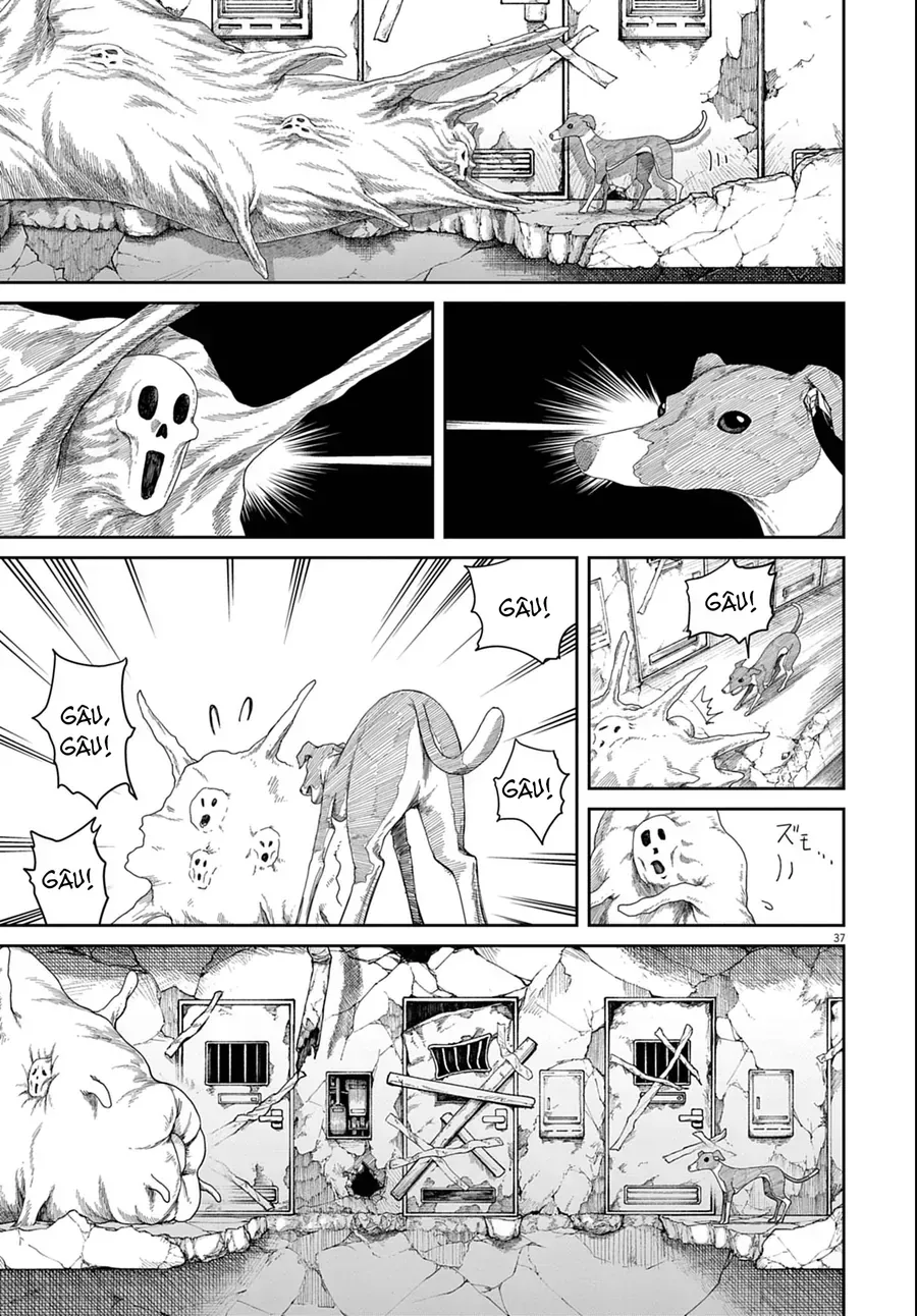 Phòng 999 Chapter 1 - Trang 37