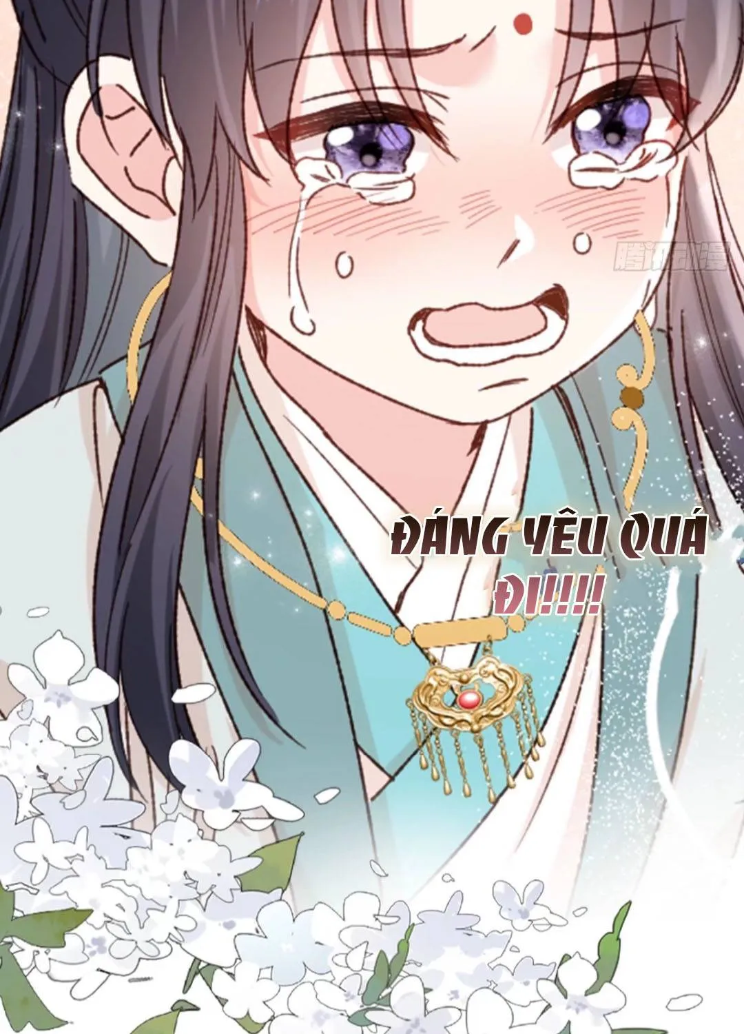 Phu Nhân Hôm Nay Muốn Hòa Ly Chapter 0.1 - Trang 12