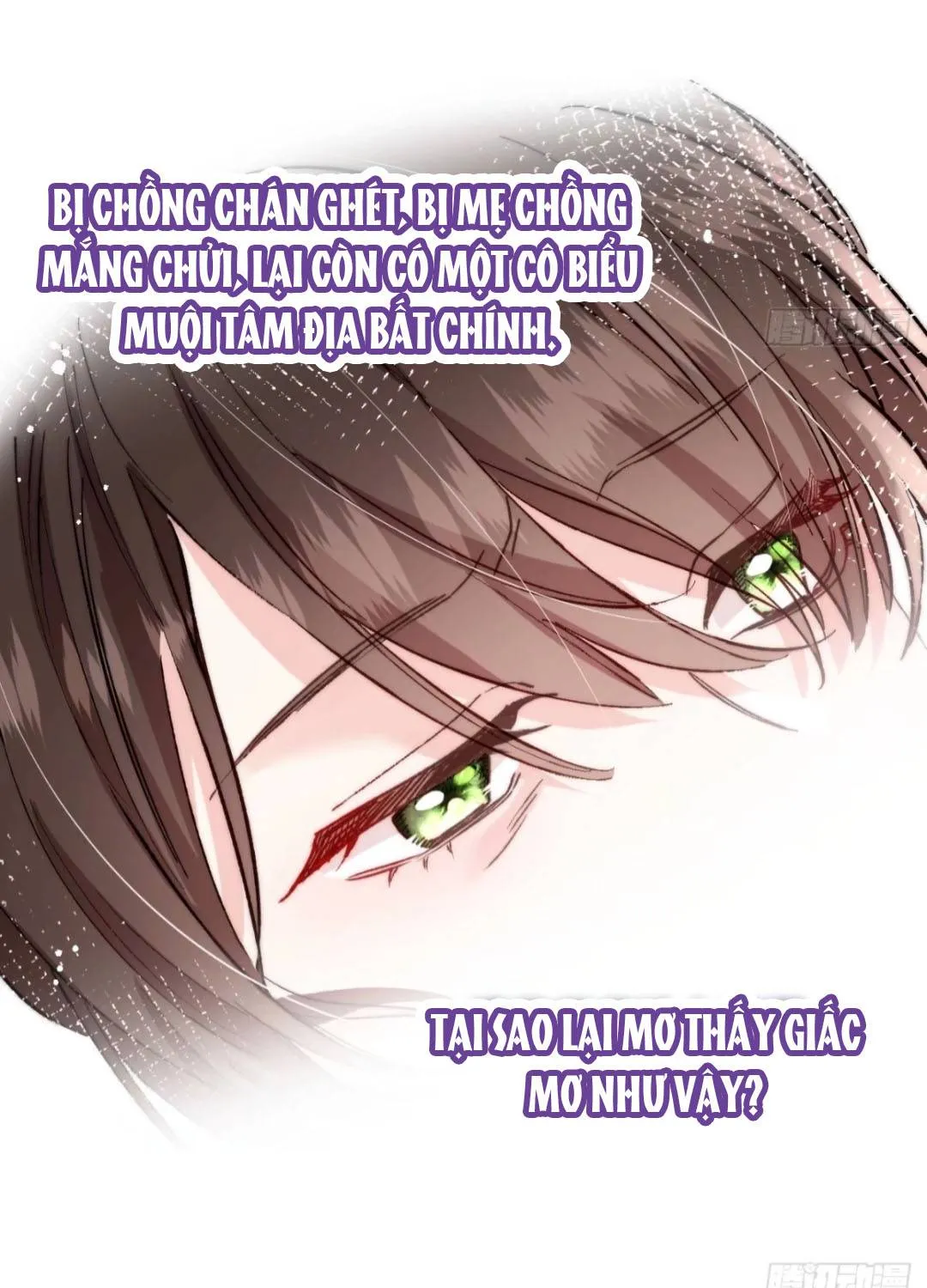 Phu Nhân Hôm Nay Muốn Hòa Ly Chapter 2 - Trang 16