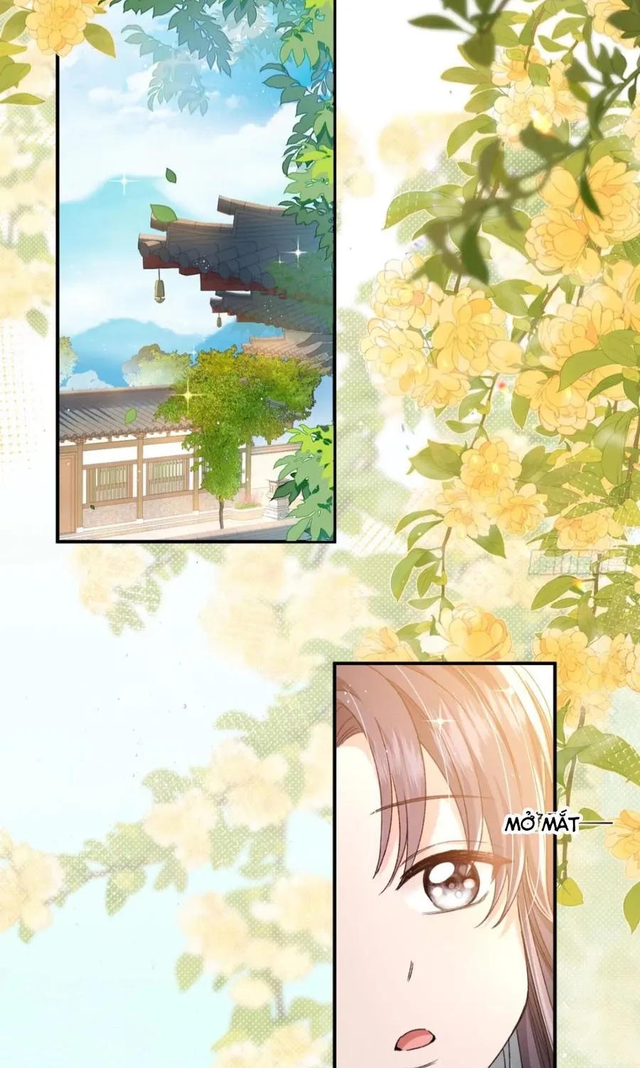 Phu Nhân Hôm Nay Muốn Hòa Ly Chapter 7 - Trang 22