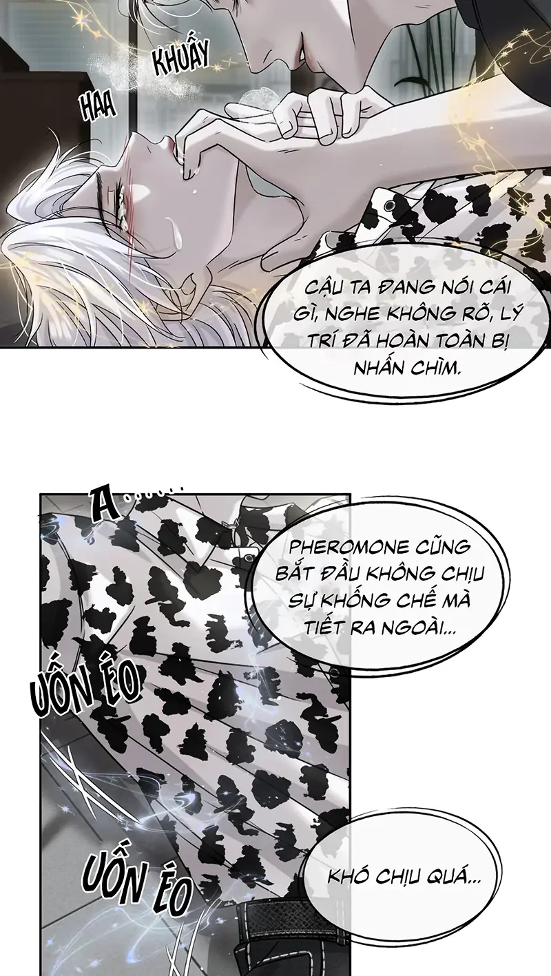 PHƯỢC TỘI Chapter 11 - Trang 36