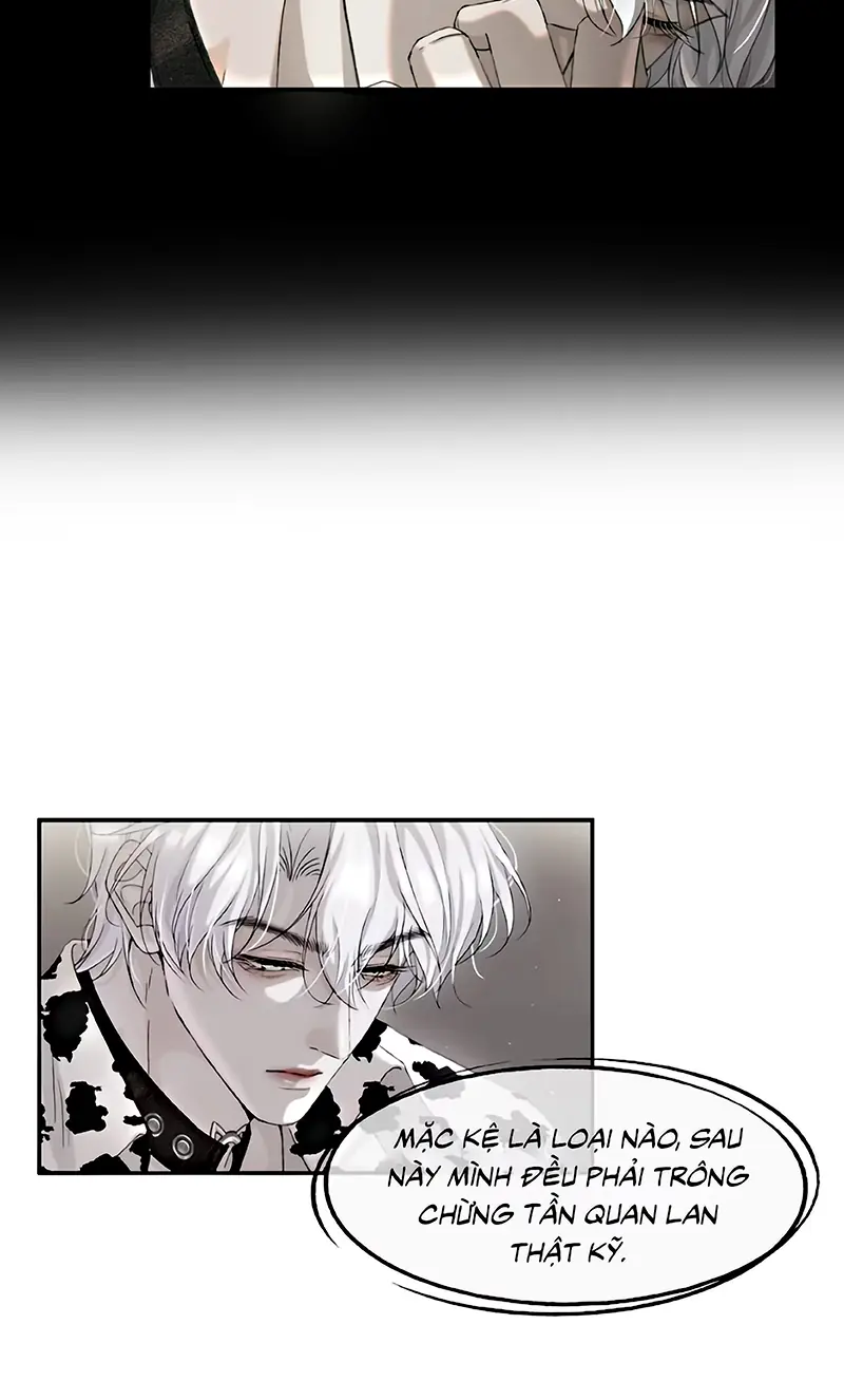 PHƯỢC TỘI Chapter 9 - Trang 20