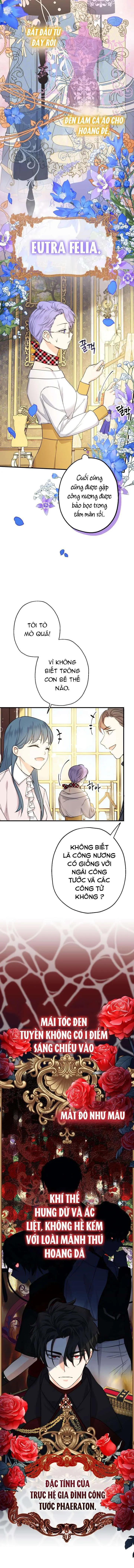 [PNT] Tiểu Thư Tích Tiền Đi Bụi Chapter 10 - Trang 13