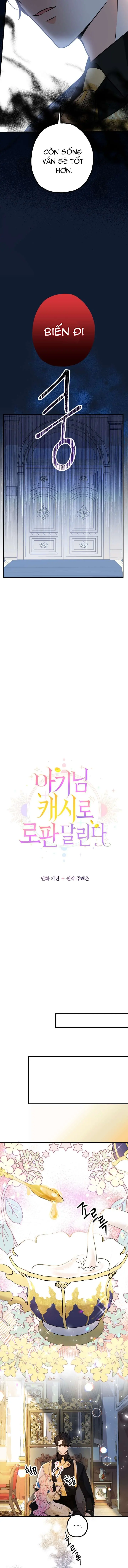 [PNT] Tiểu Thư Tích Tiền Đi Bụi Chapter 14 - Trang 13