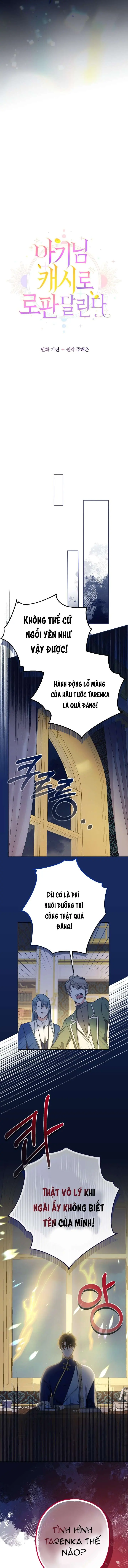 [PNT] Tiểu Thư Tích Tiền Đi Bụi Chapter 20 - Trang 17