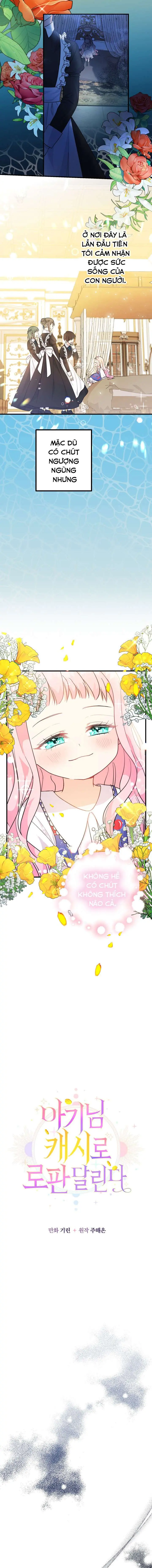 [PNT] Tiểu Thư Tích Tiền Đi Bụi Chapter 4 - Trang 12