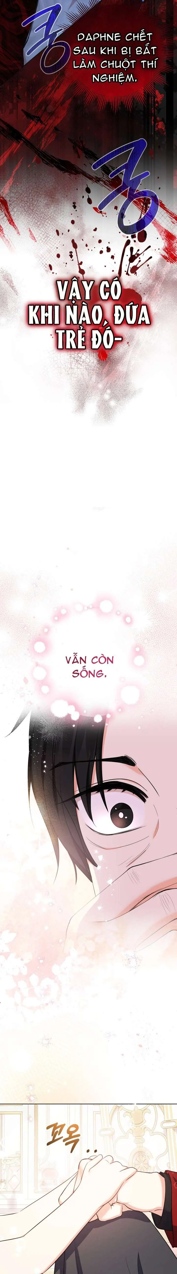 [PNT] Tiểu Thư Tích Tiền Đi Bụi Chapter 53 - Trang 22